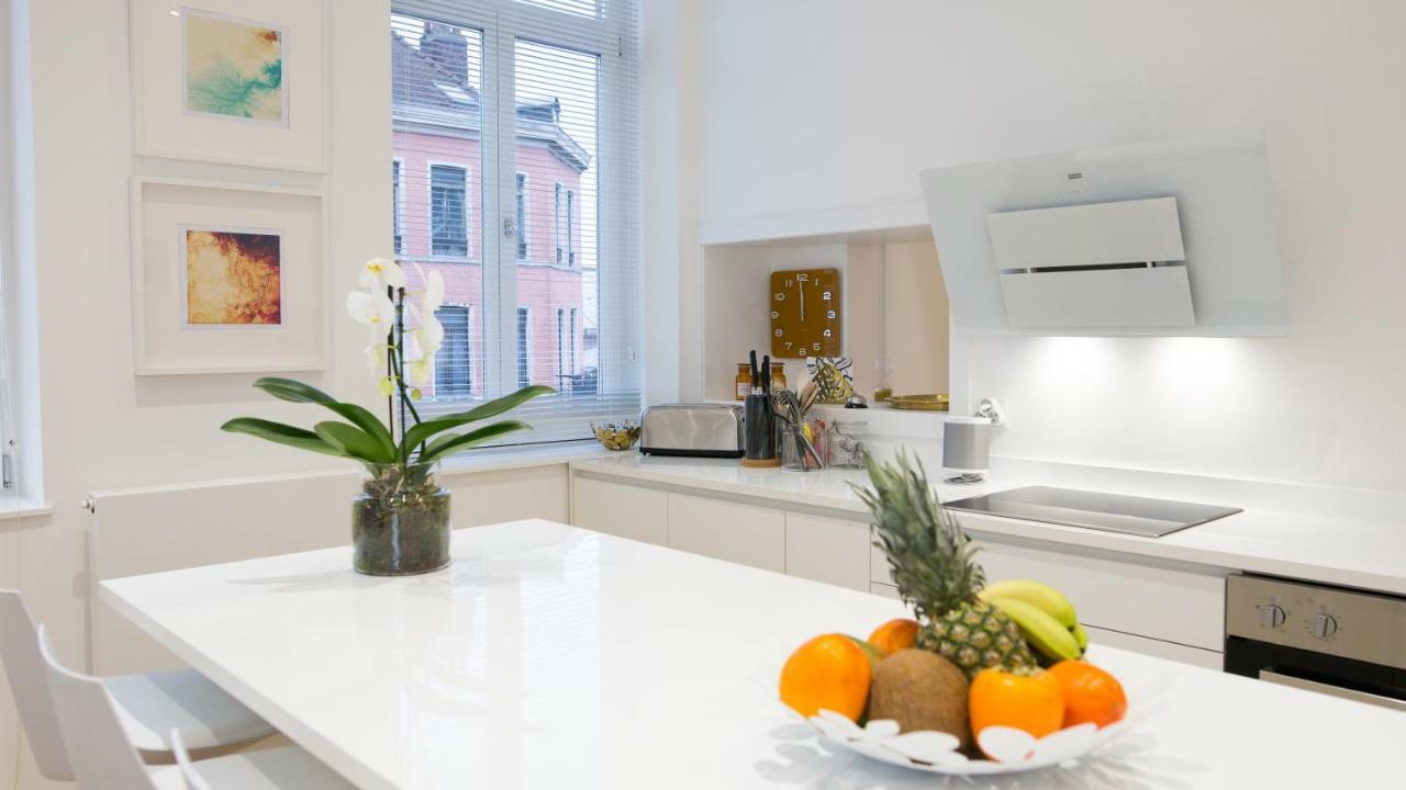 Luxueux Logement Bourgeois De 250 M2 Climatise Lille Eksteriør bilde